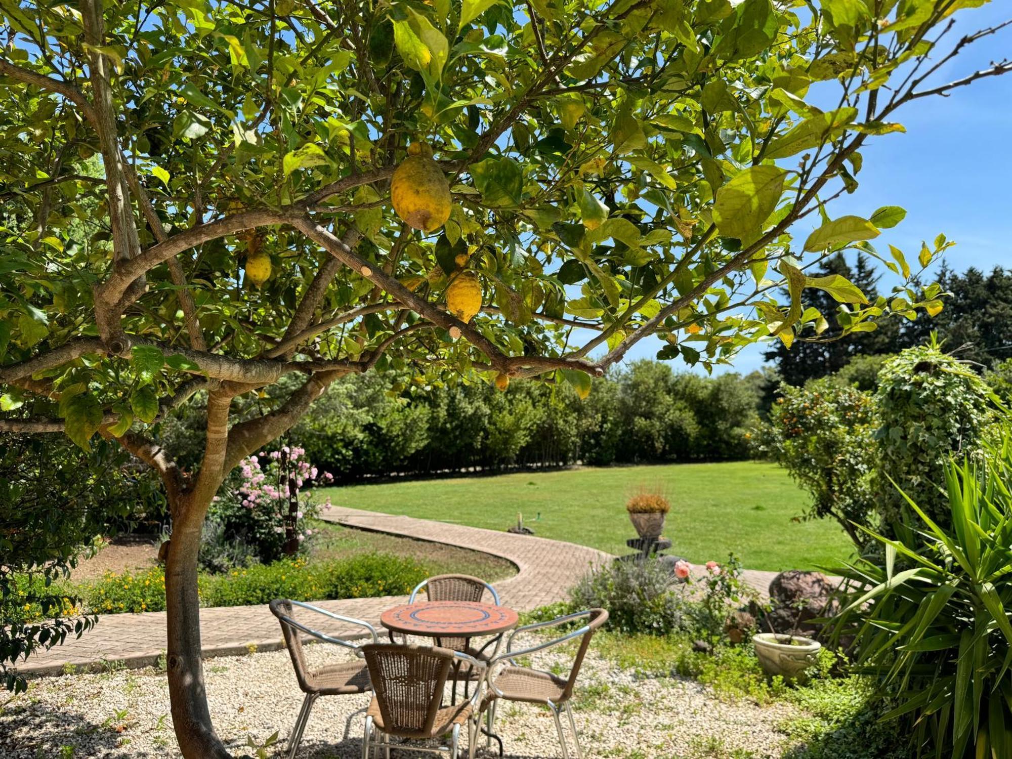 L'Orto Villa San Vero Milis Exteriör bild