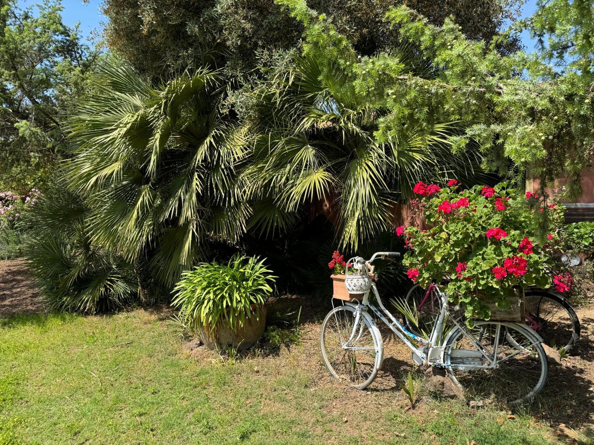 L'Orto Villa San Vero Milis Exteriör bild